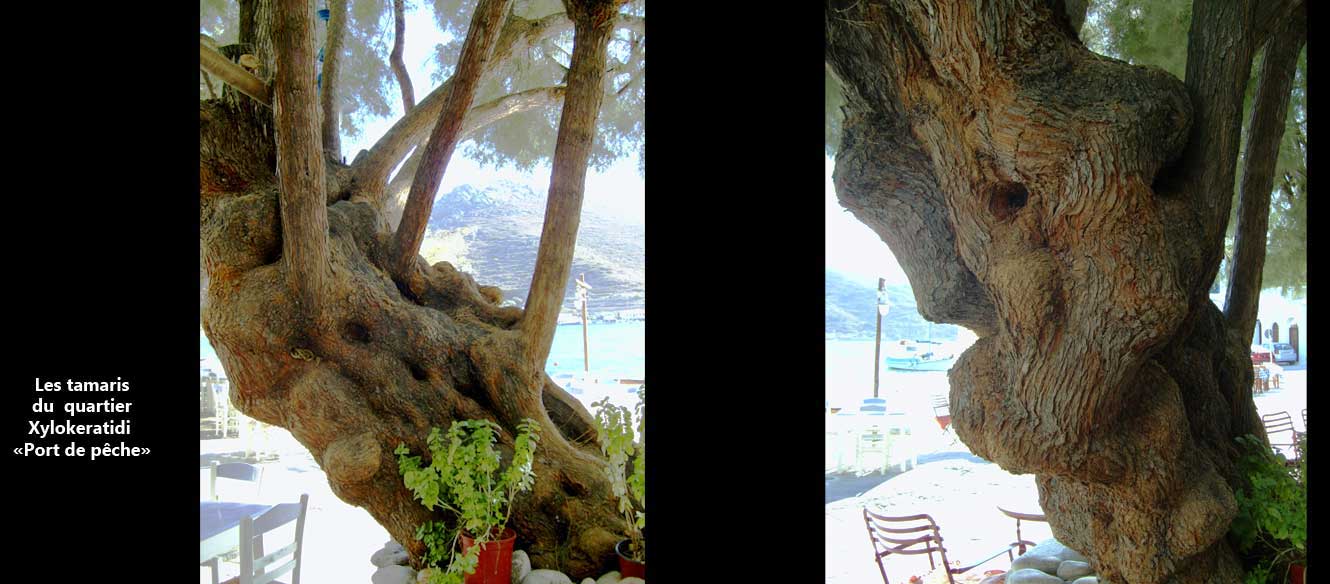 Amorgos