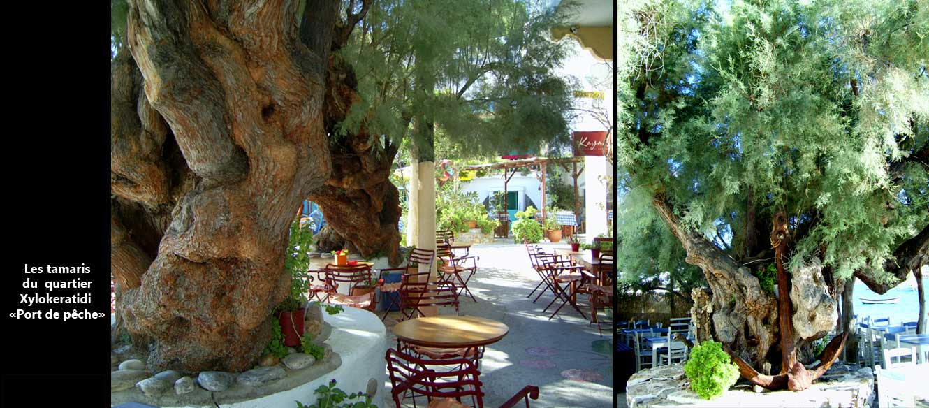 Amorgos
