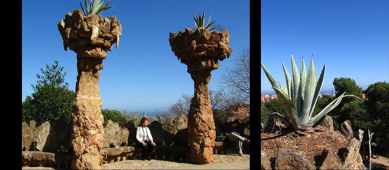 Gaudi