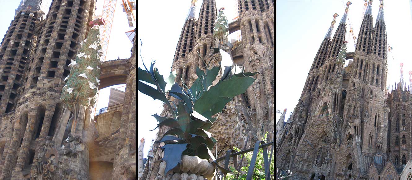 Cathédrale