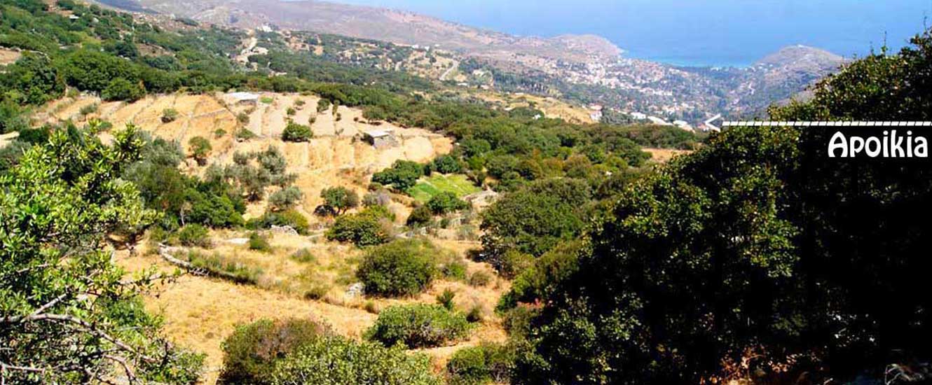 Apoikia