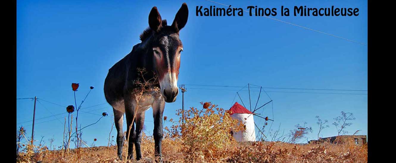 Tinos