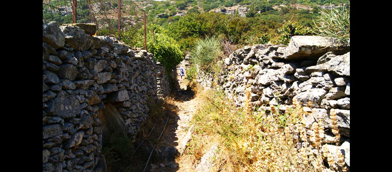 Apoikia