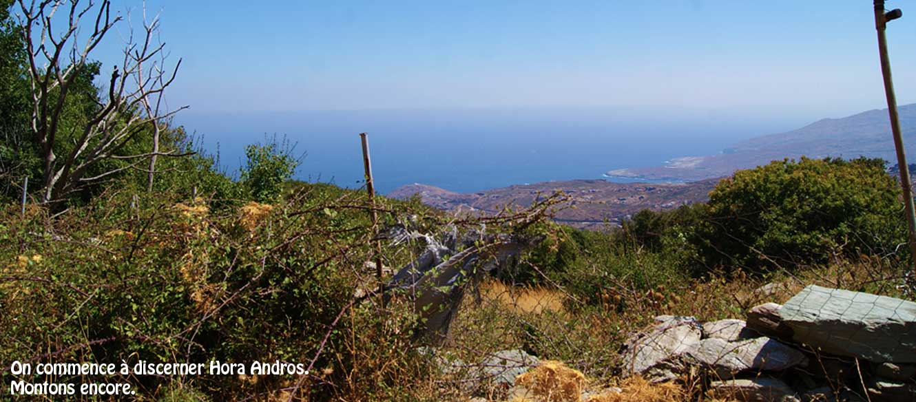 Apoikia