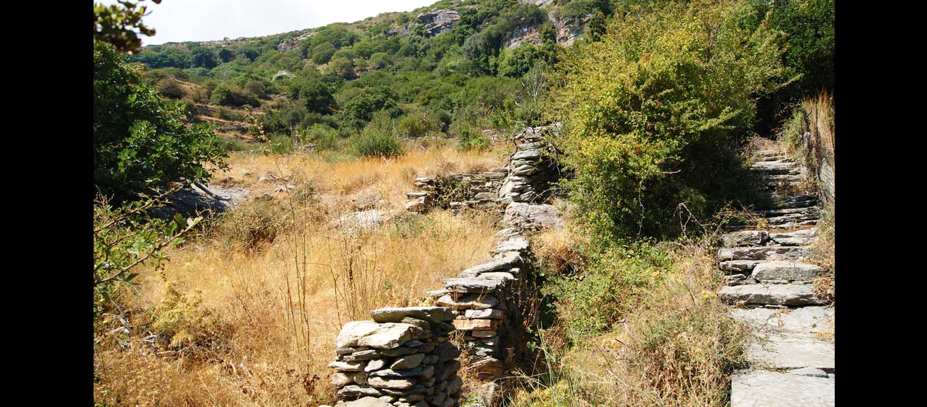 Apoikia