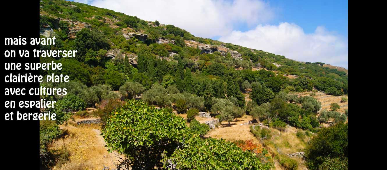Apoikia
