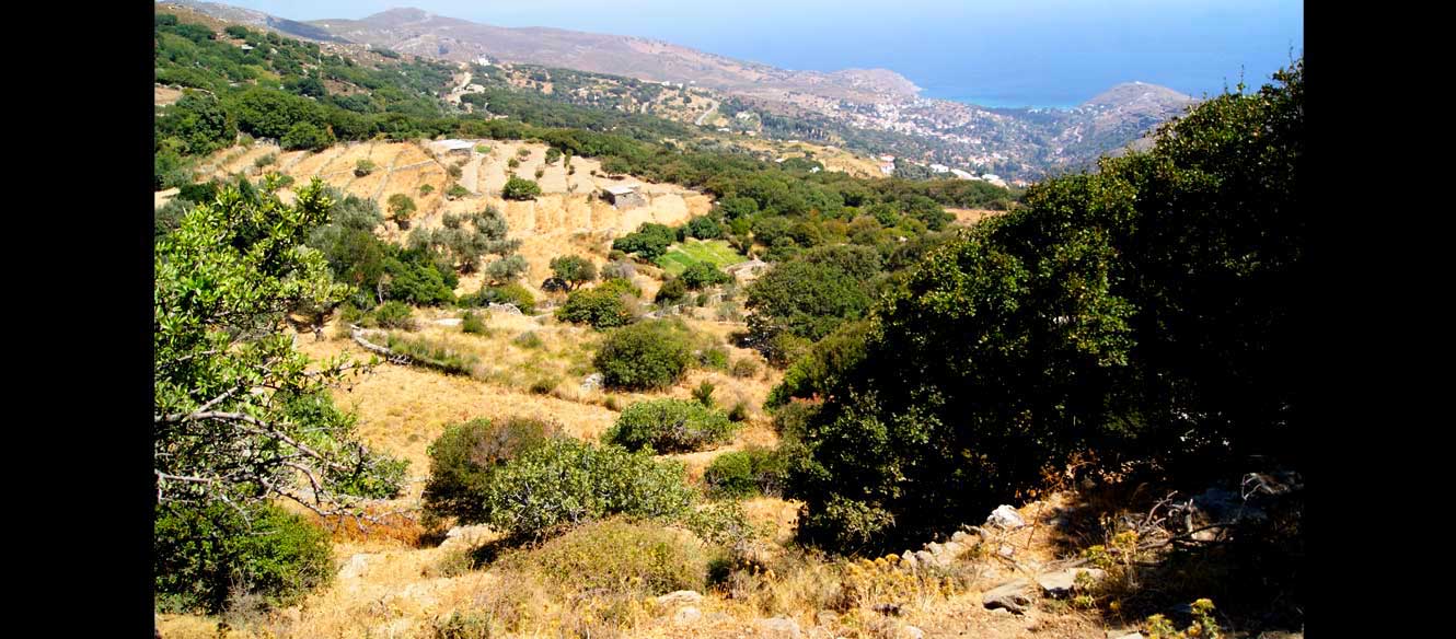 Apoikia