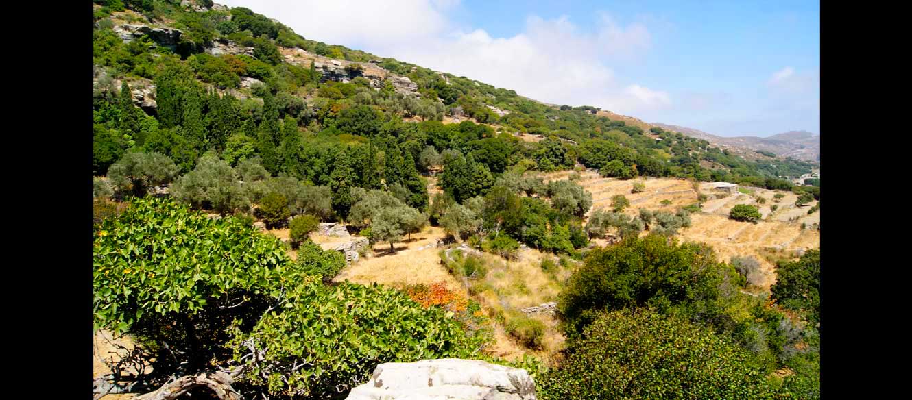 Apoikia