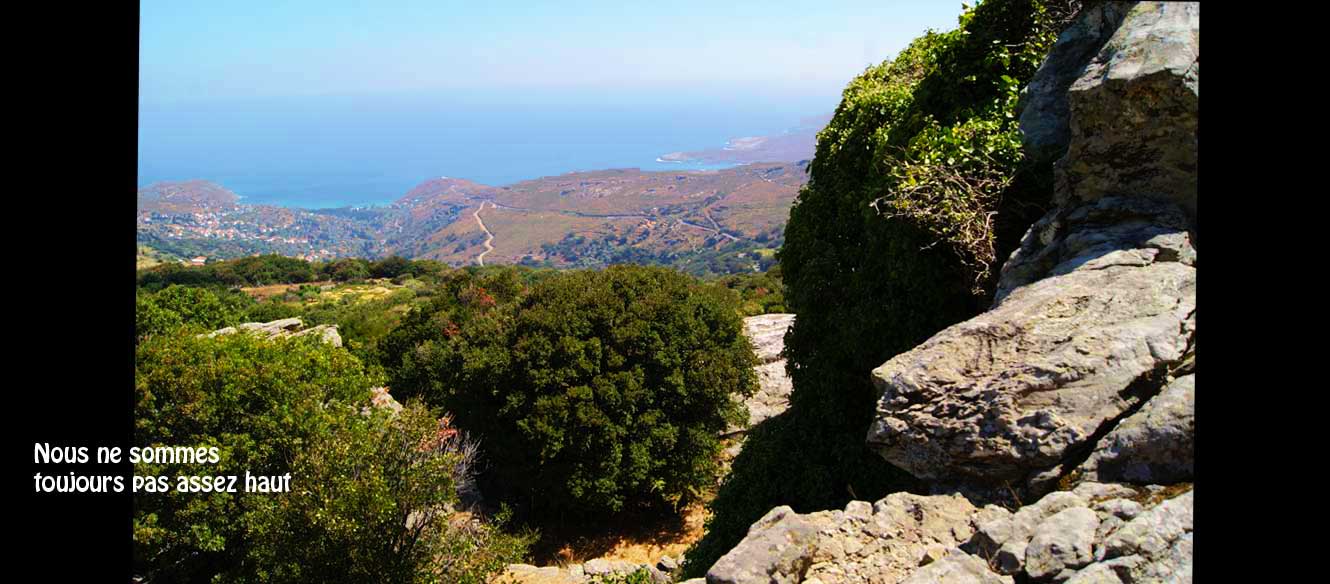 Apoikia