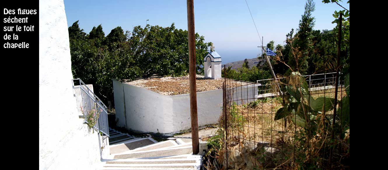 Apoikia