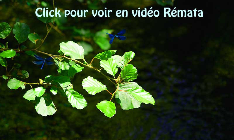 Vidéo répétition de avril 2012