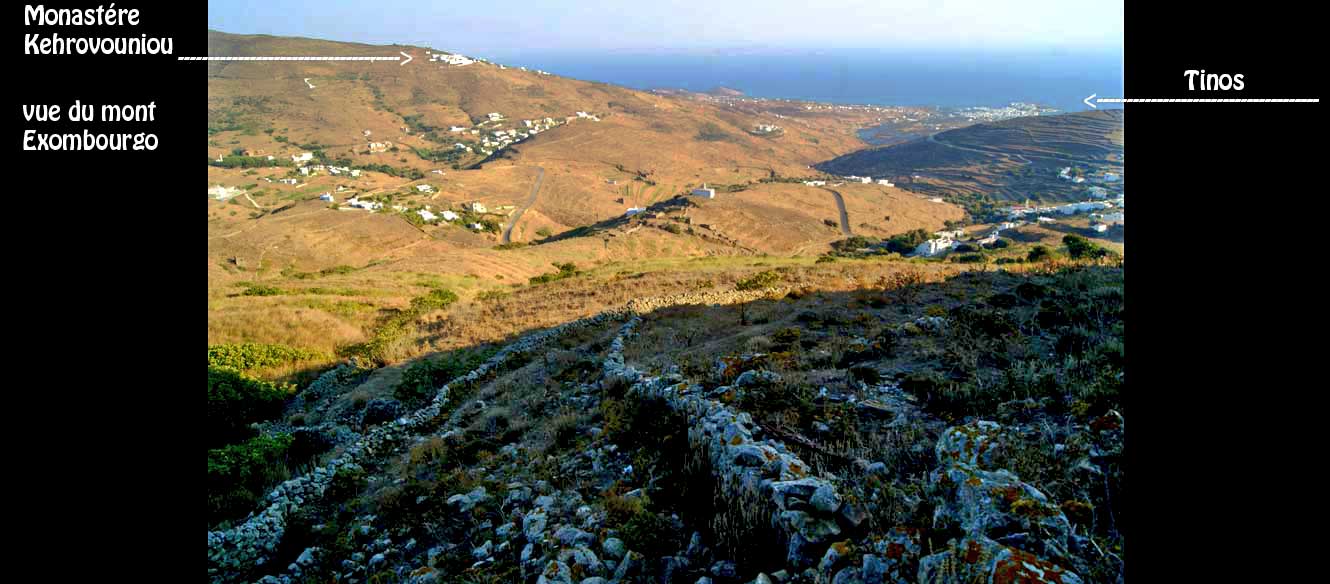 Steni