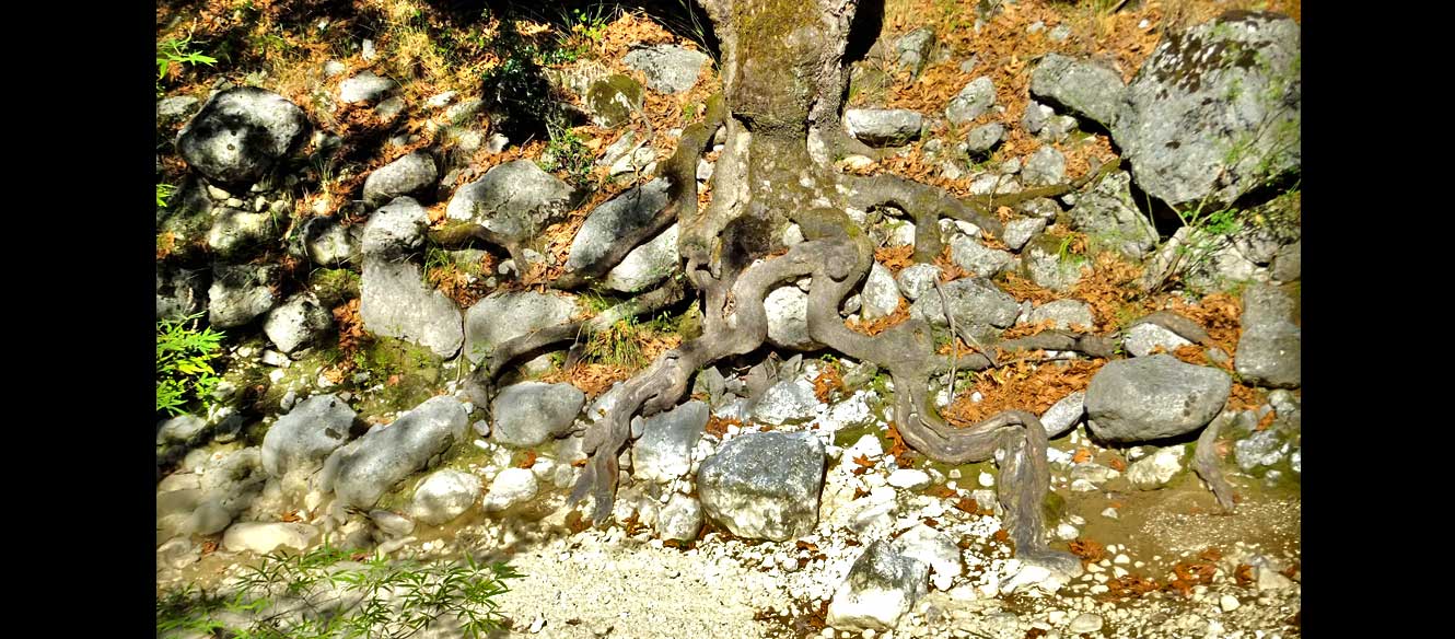Cascade