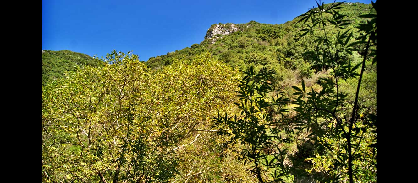 Cascade