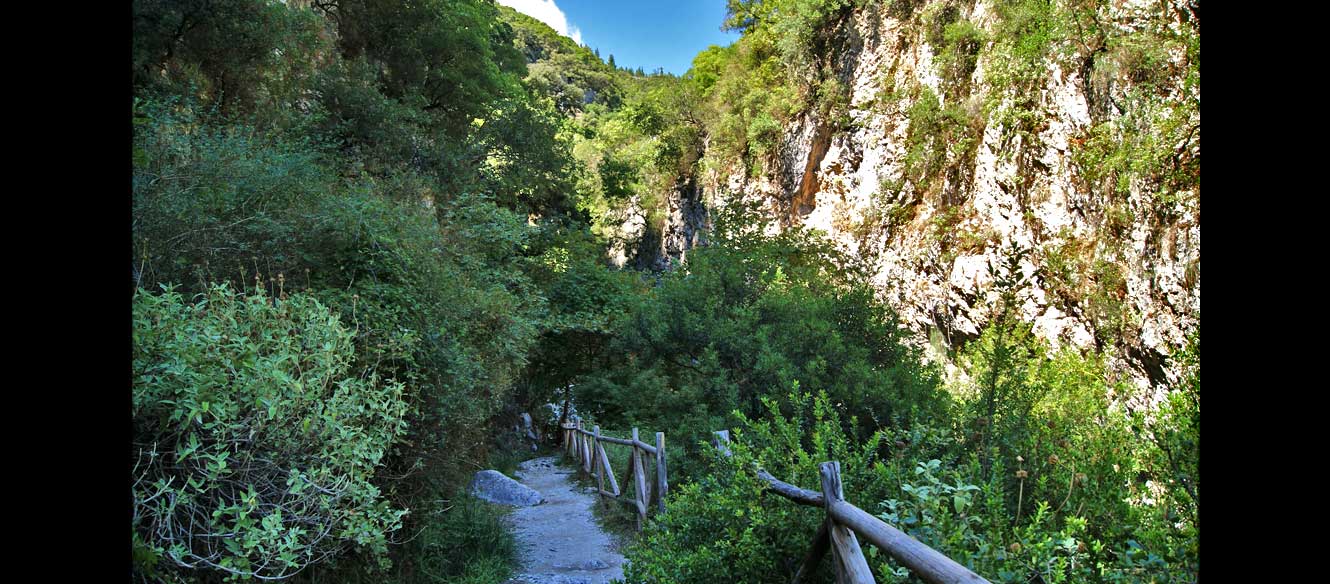 Cascade