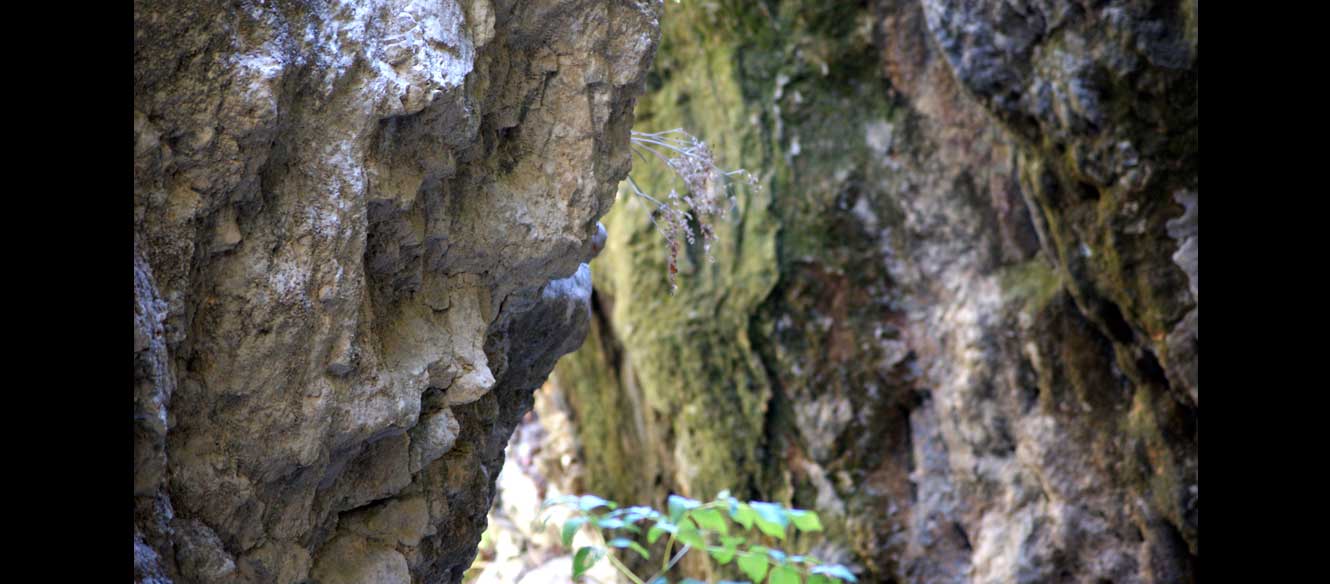 Cascade