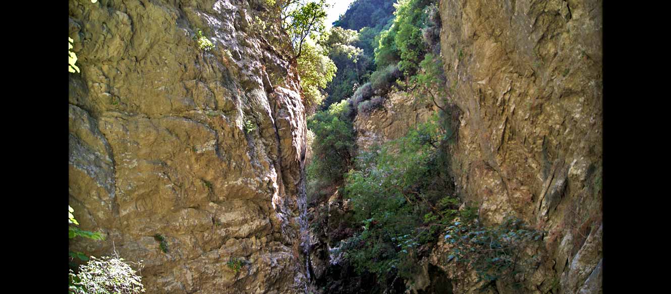 Cascade