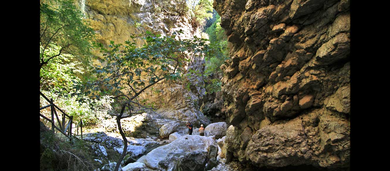 Cascade
