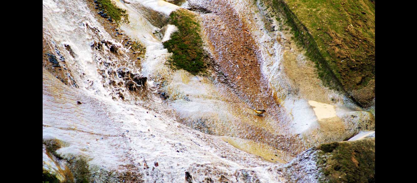 Cascade