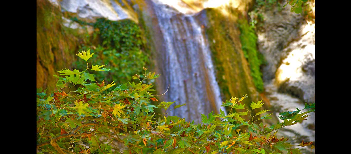 Cascade
