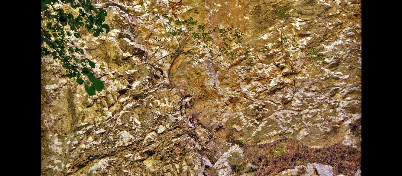 Cascade