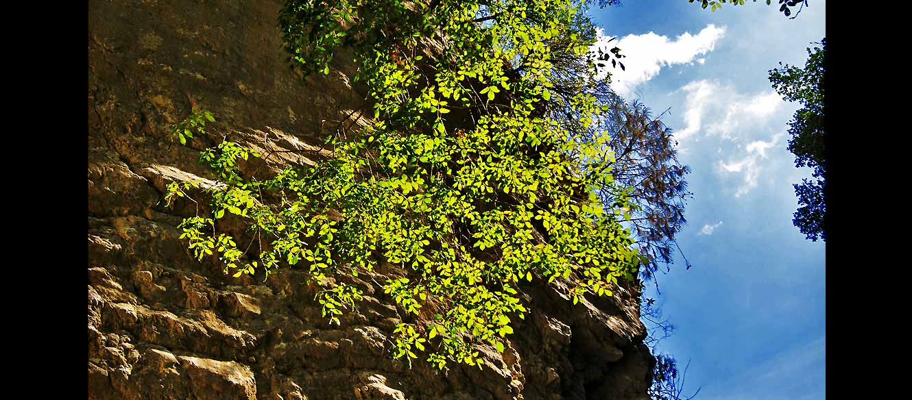 Cascade
