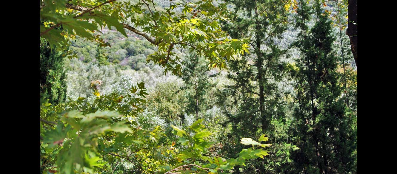 Cascade