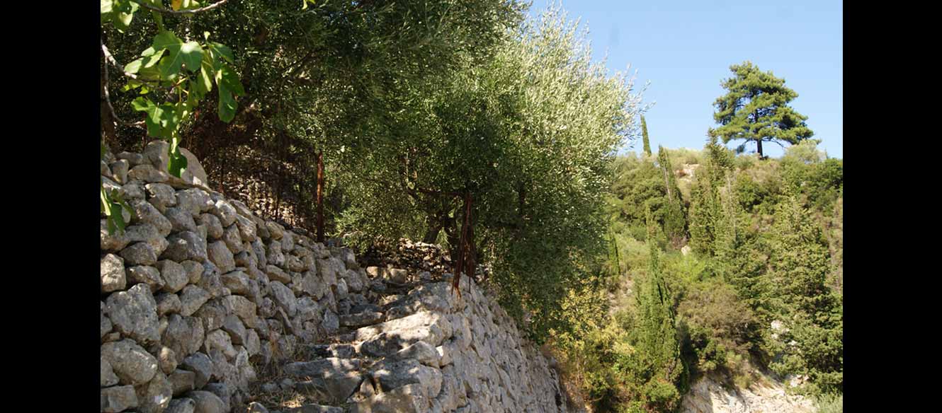 Karia