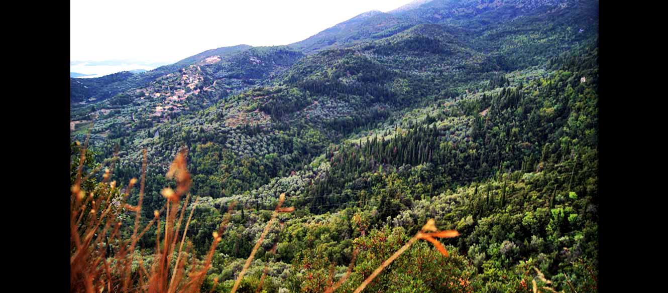 Karia