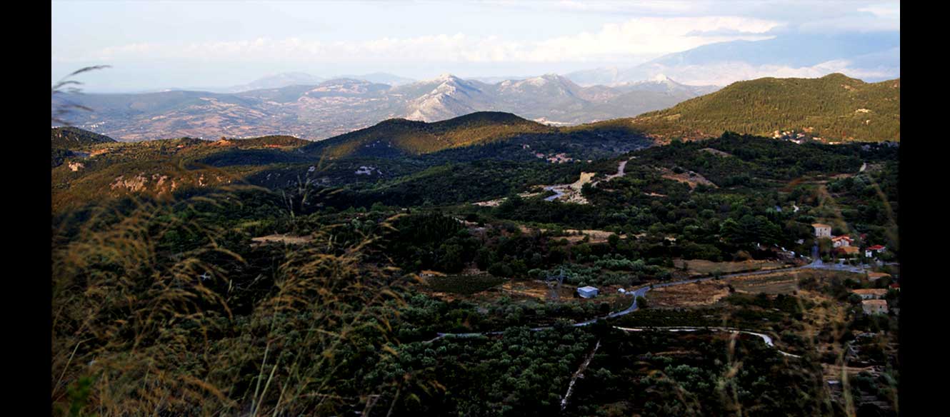 Karia