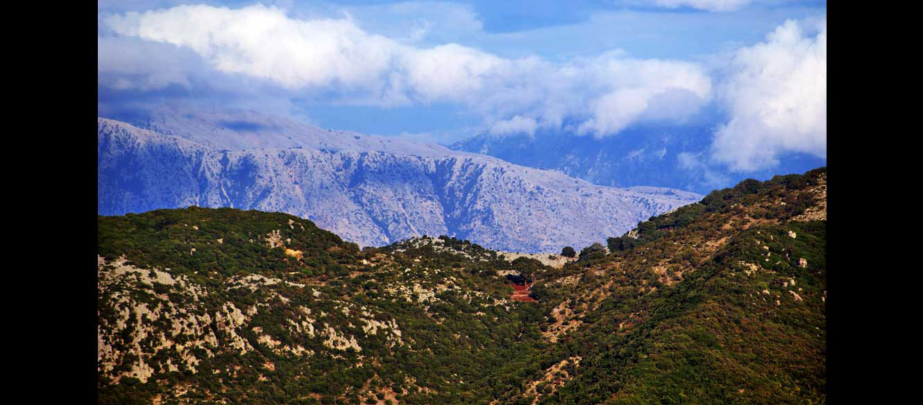 Karia