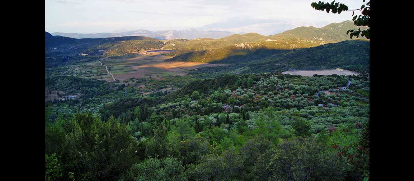 Karia
