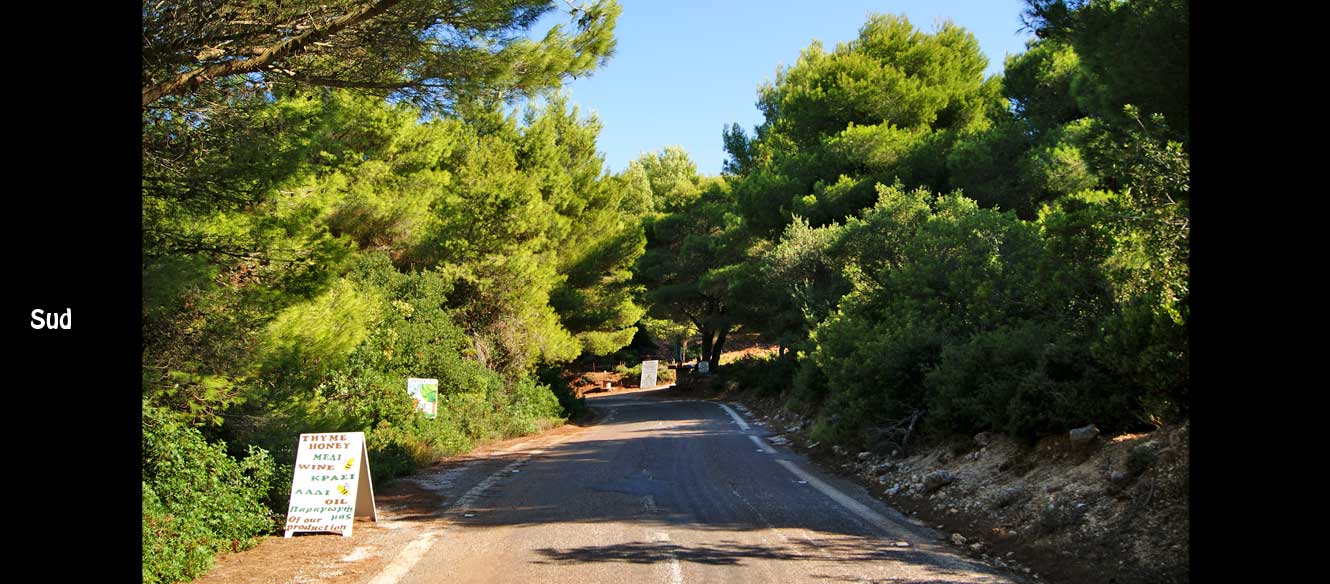 Leucade