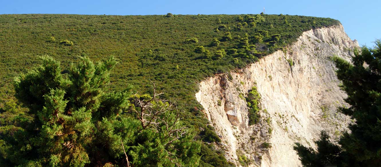Katsiki