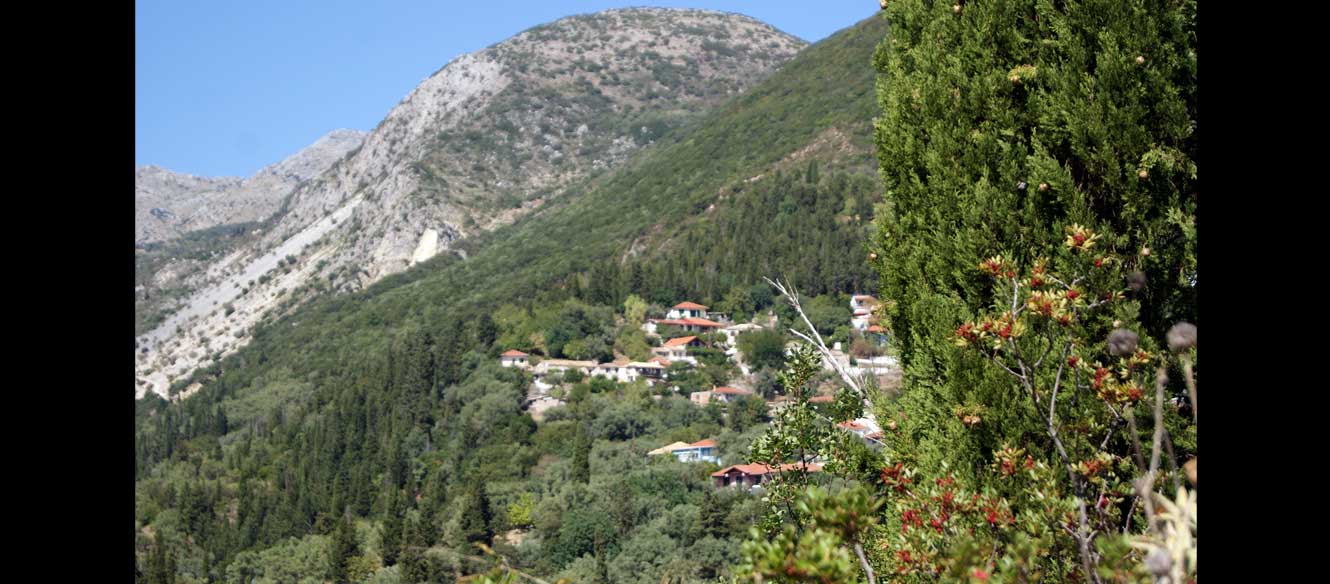Sivota