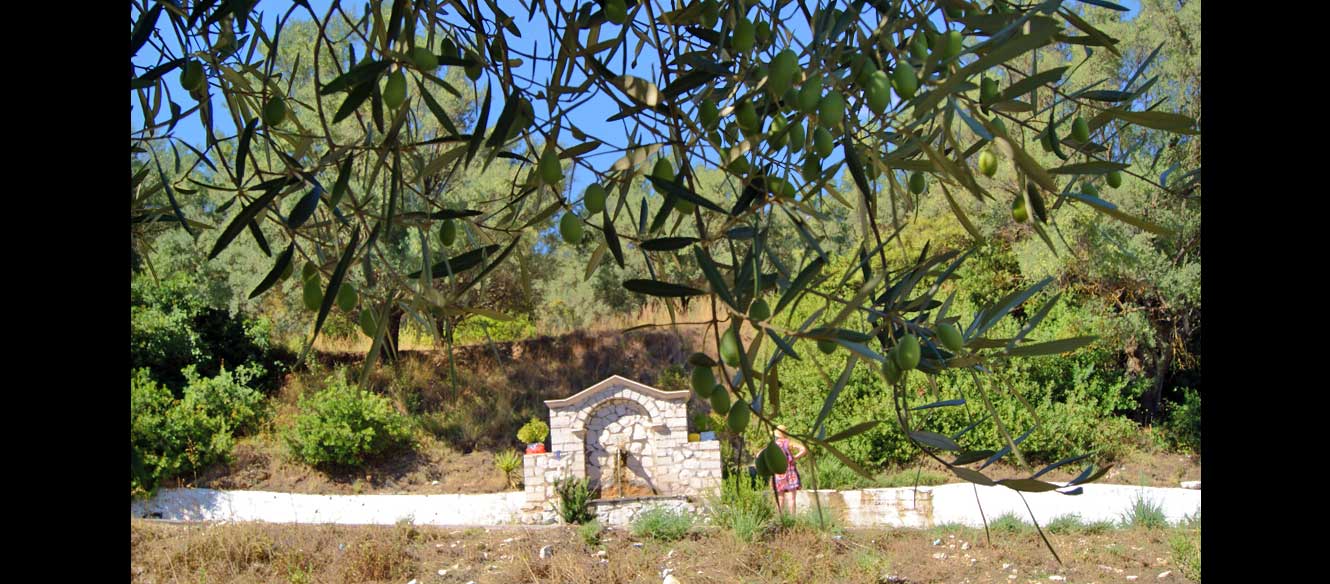 Sivota