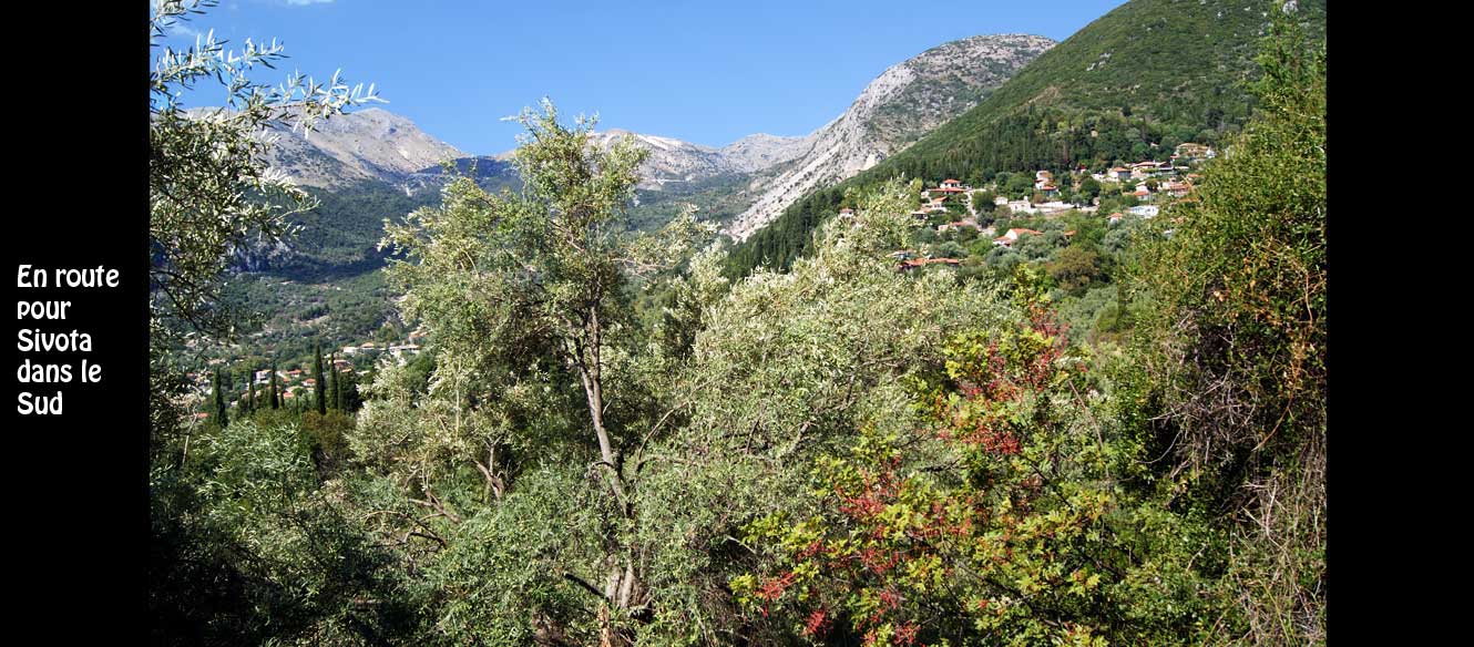 Sivota