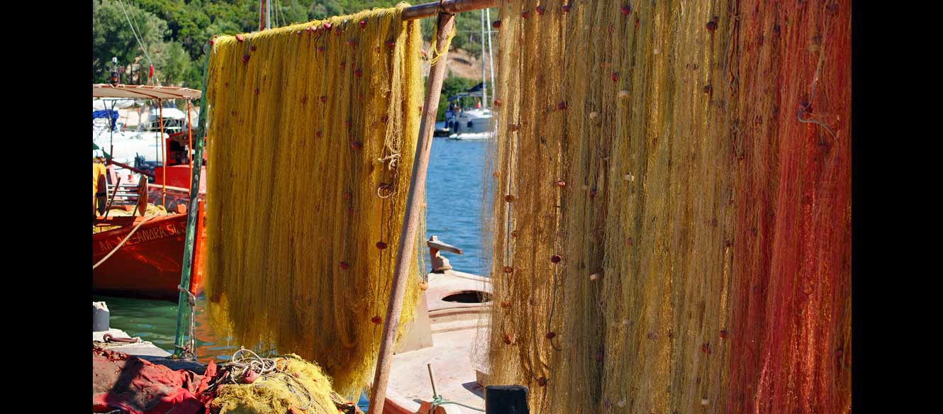 Sivota