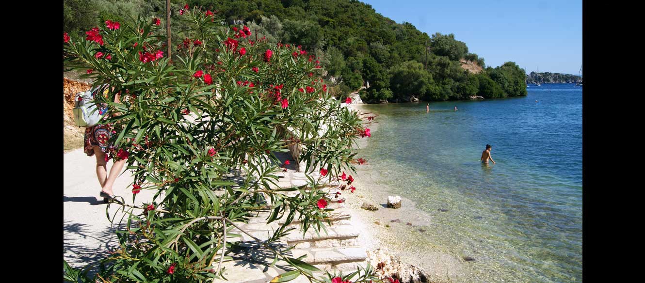 Sivota