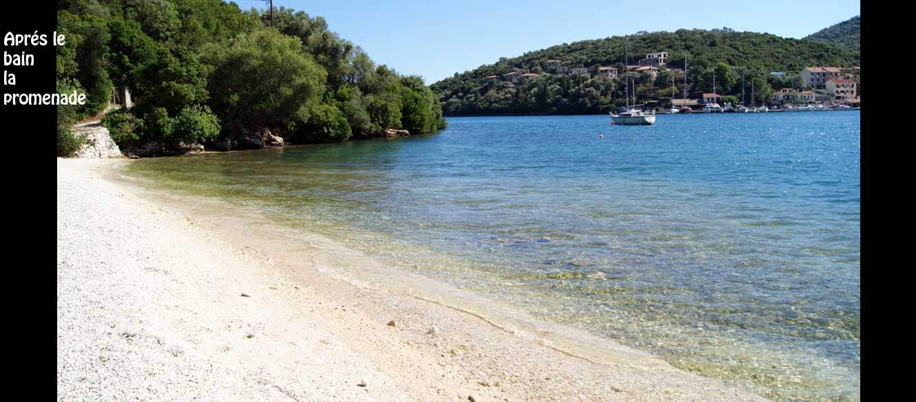 Sivota