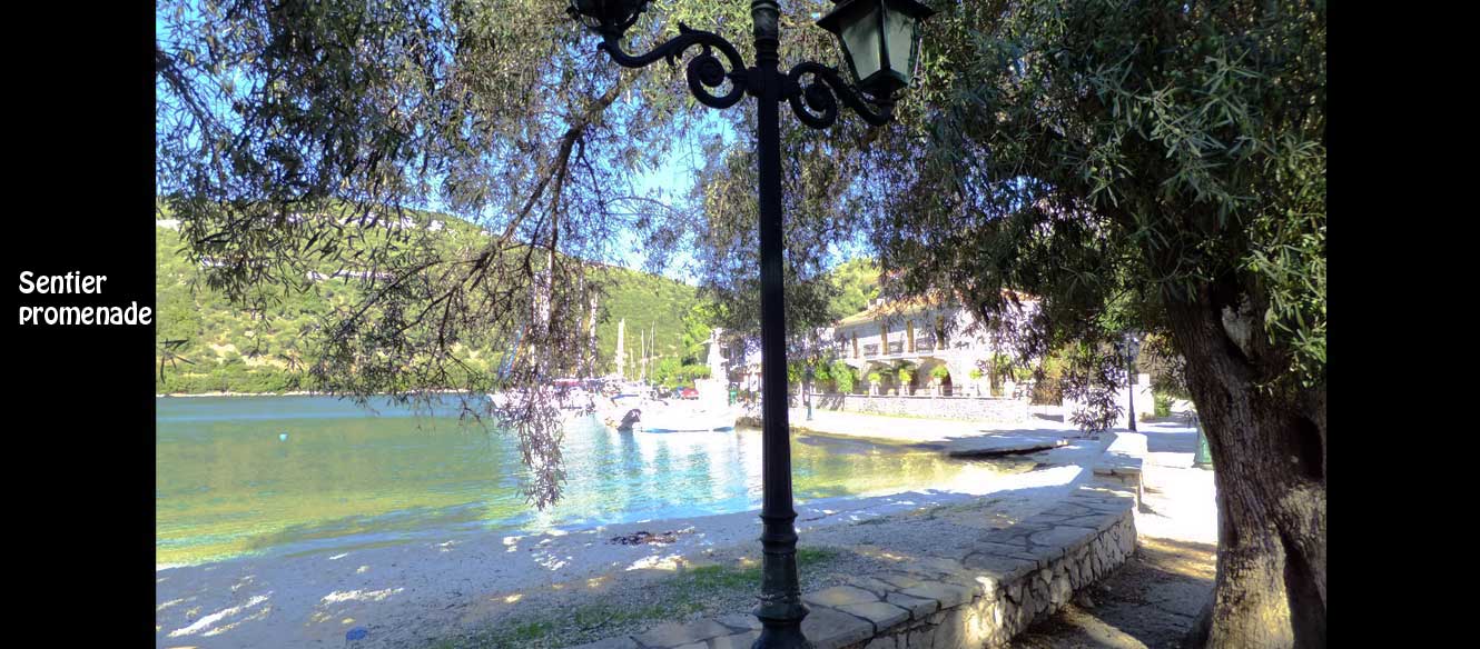 Sivota