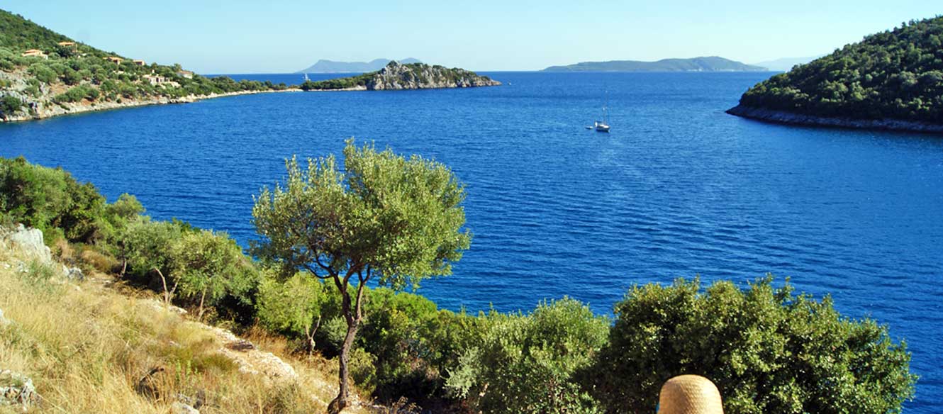 Sivota