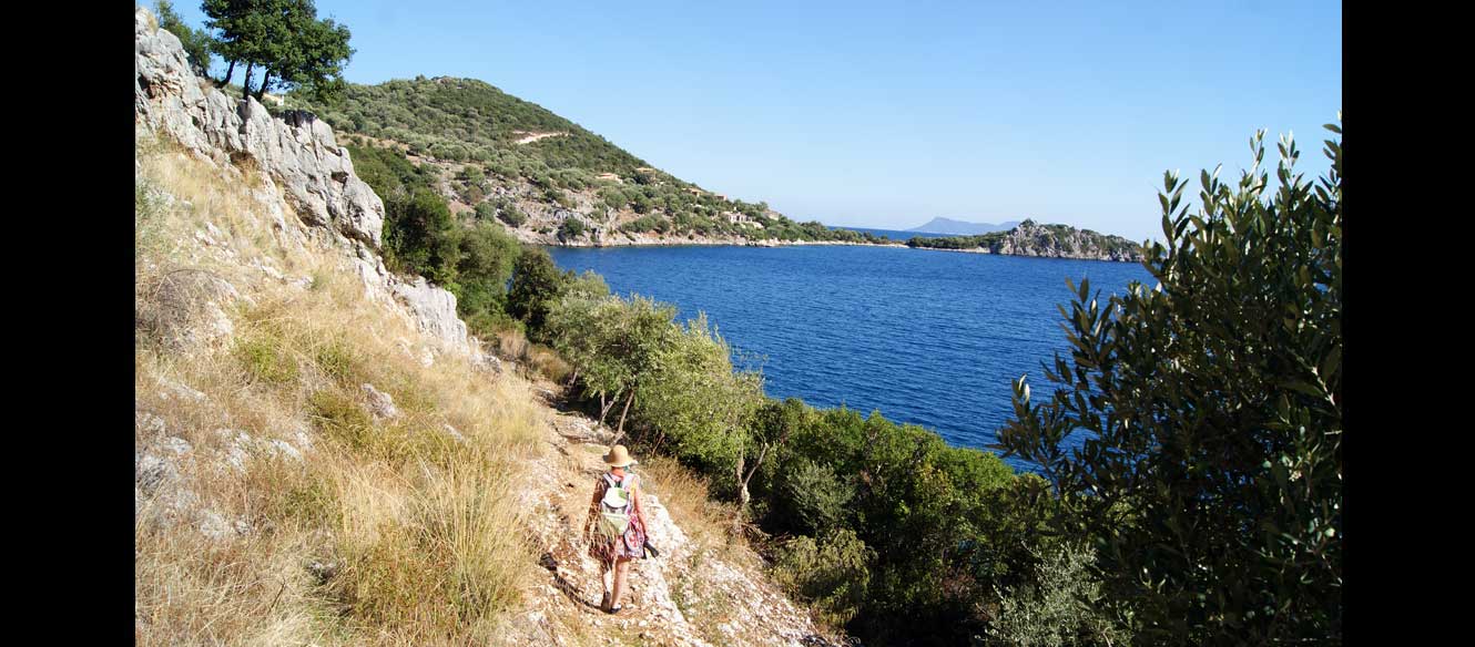Sivota