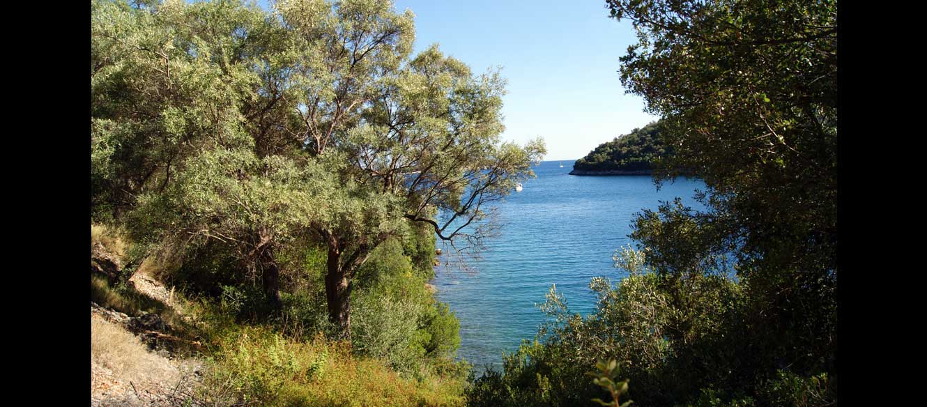 Sivota
