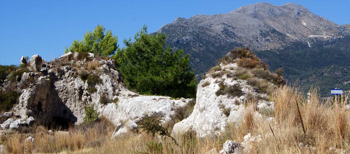 Sivota