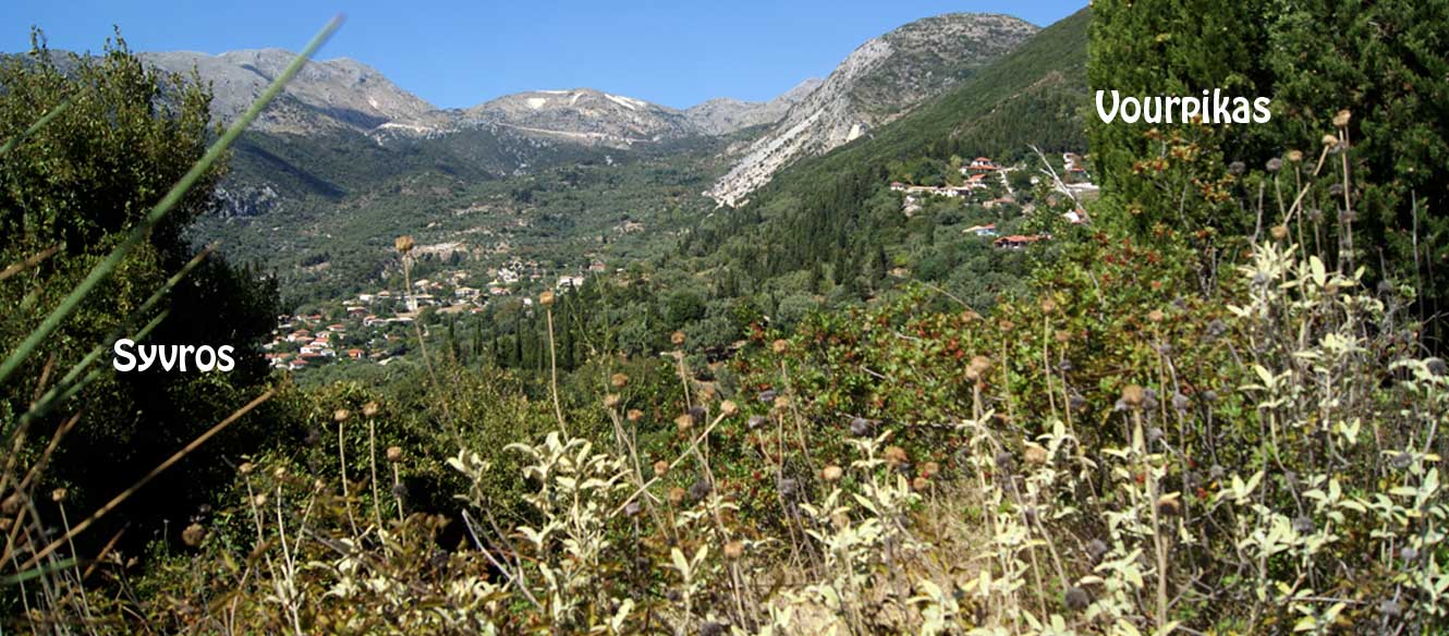 Sivota