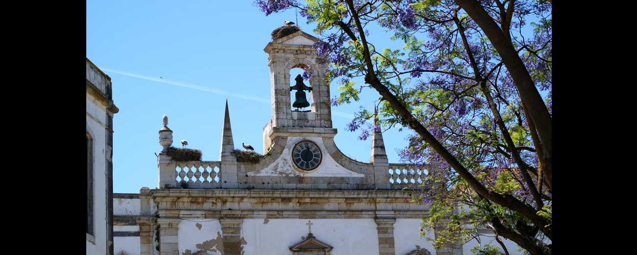 Cigognes