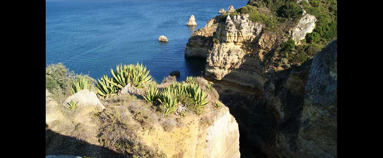 Piédadé