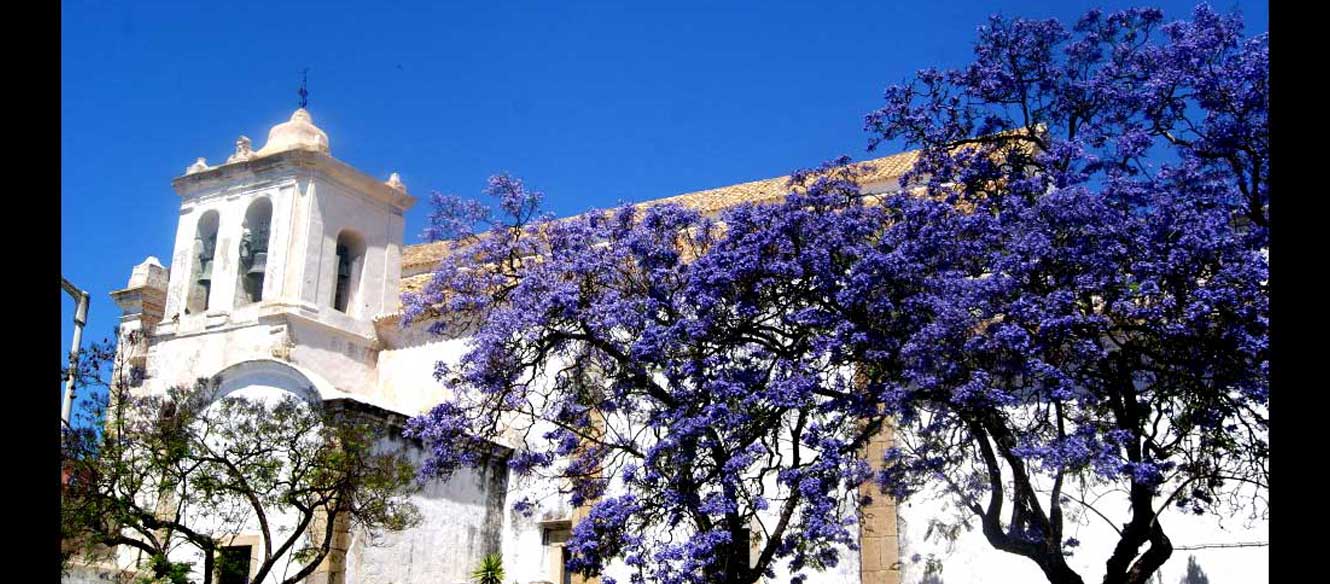 Faro