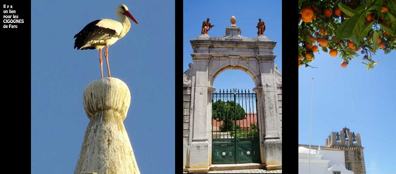Faro